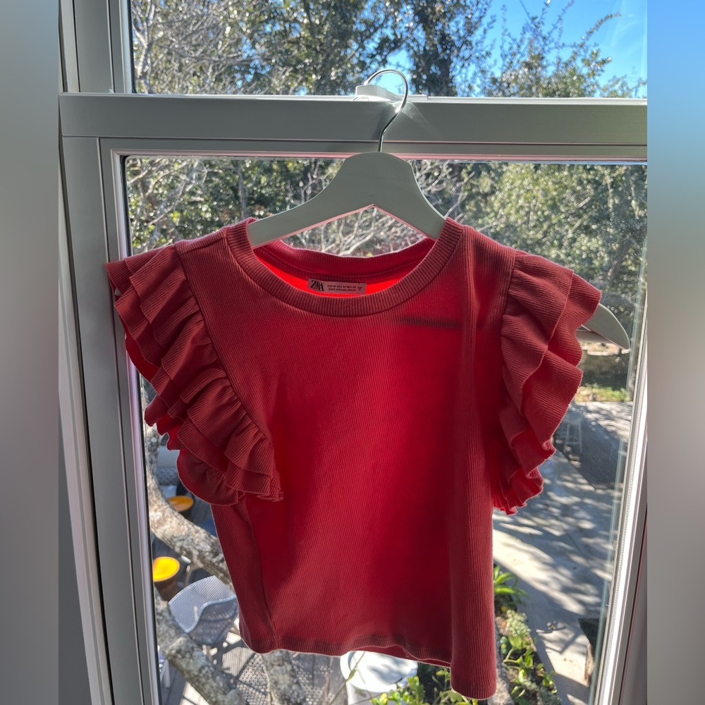 Zara Pink Ruffle Top